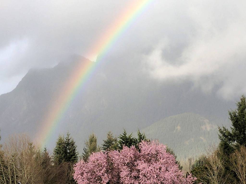 Preserving the moment: Local photographers capture daily wonders of life in the Valley