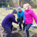 Volunteers planting the tree dedicated to Clint Loper on at the planting and memorial event in October.                                (Courtesy Photo)