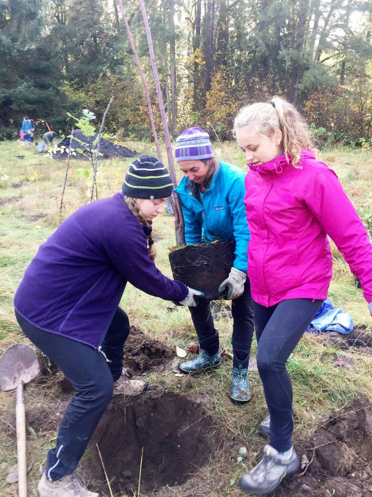 Volunteers planting the tree dedicated to Clint Loper on at the planting and memorial event in October.                                (Courtesy Photo)