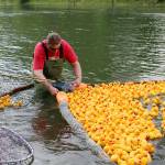 Kevin Hauglie stood at the Duck Derby finish line and collected the first 100 ducks to reach the goal to determine the derby winners. (Evan Pappas/Staff Photo)