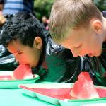Caleb Christensen leans in to take a big bite during the watermelon eating contest. Christensen was the winner the 5 to 7 age group for the third year in a row. (Evan Pappas/Staff Photo)