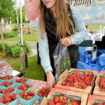 Carly Methner of Hayton Farms packages up some fresh strawberries for a customer.                                Carol Ladwig/Staff Photo
