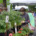 North Bend Farmers Market celebrates opening day; full season of food, music and community ahead