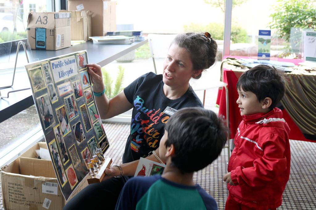Loomis shows Manas and Mihit a chart detailing the life cycles of salmon.                                (Evan Pappas/Staff Photo)