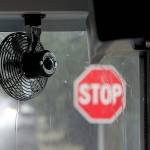 Chase Ruiz - Still life Select