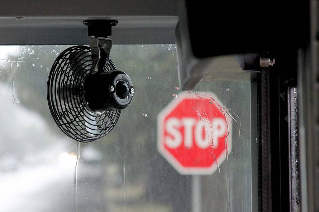 Chase Ruiz - Still life Select