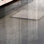 Dylan Ladd - Camera Phone Select