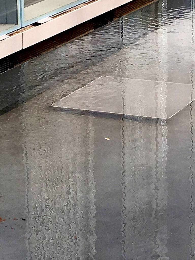 Dylan Ladd - Camera Phone Select