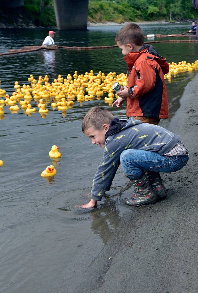 Duck derby fans watch as the rubber ducks near the finish line.                                Carol Ladwig/File Photo