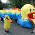 It&rsquo;s a duck, it&rsquo;s a dragon! It&rsquo;s the duck-dragon float entry in the 2016 Fall City Day parade, created by Laurie Hauglie and Jane Krein, and powered by volunteer children.                                William Shaw/File Photo