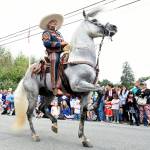 One of the famous Ixtapa dancing horses.                                File Photo