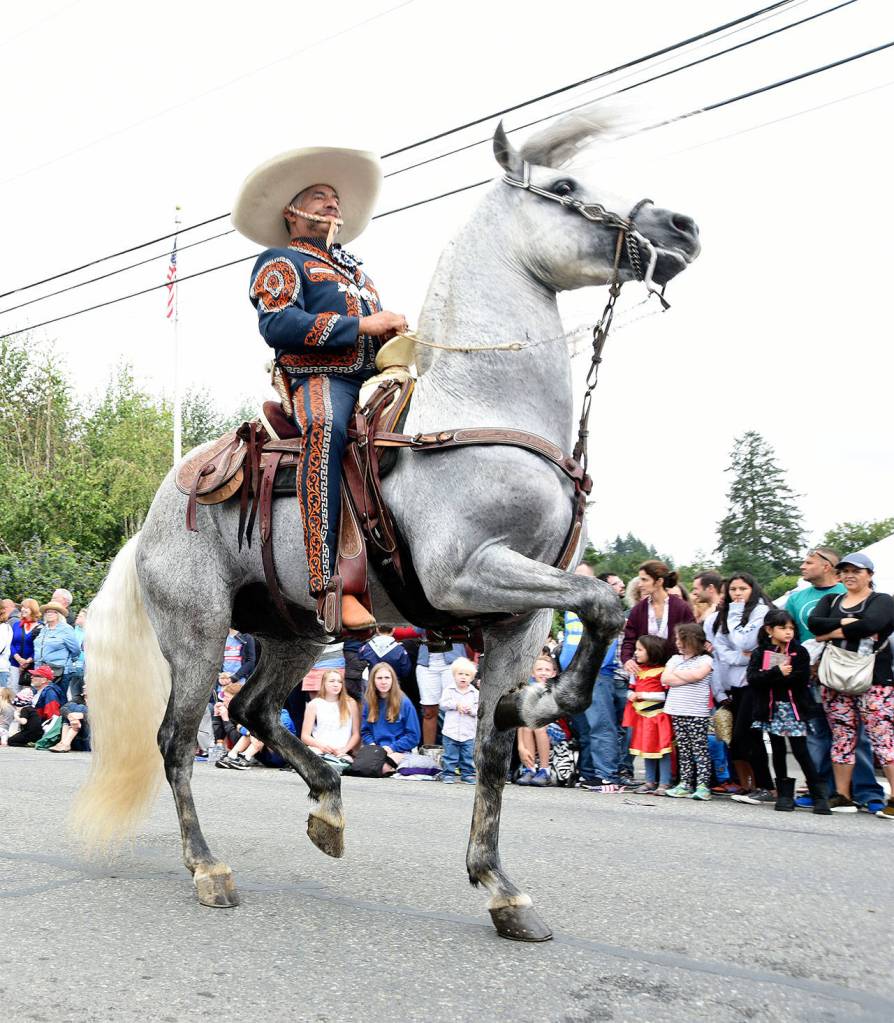 One of the famous Ixtapa dancing horses.                                File Photo