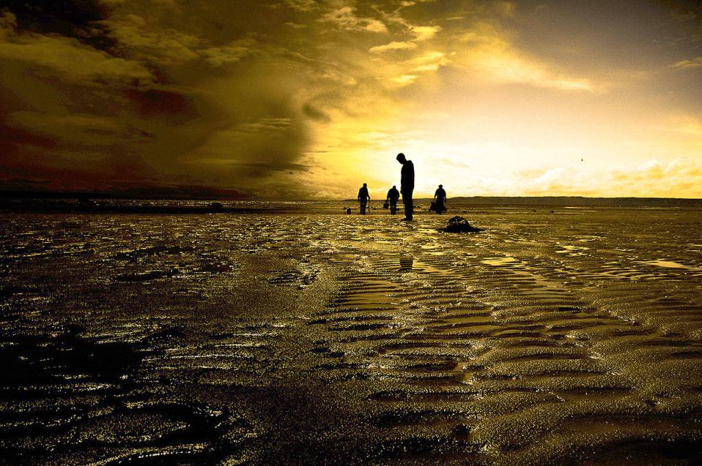 Jacob Zupan - Landscape Select