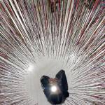 Janna Price&rsquo;s fifth-place Camera Phone photo.