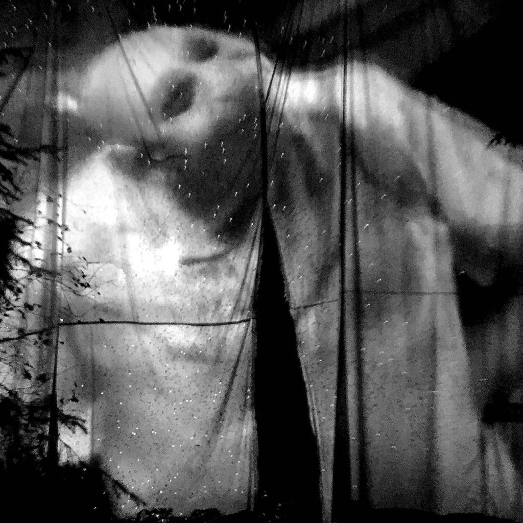 Maddy Trout&rsquo;s third-place Still Life photo.