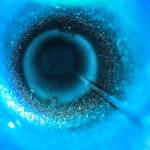 Johnny Pownall III - Camera Phone select