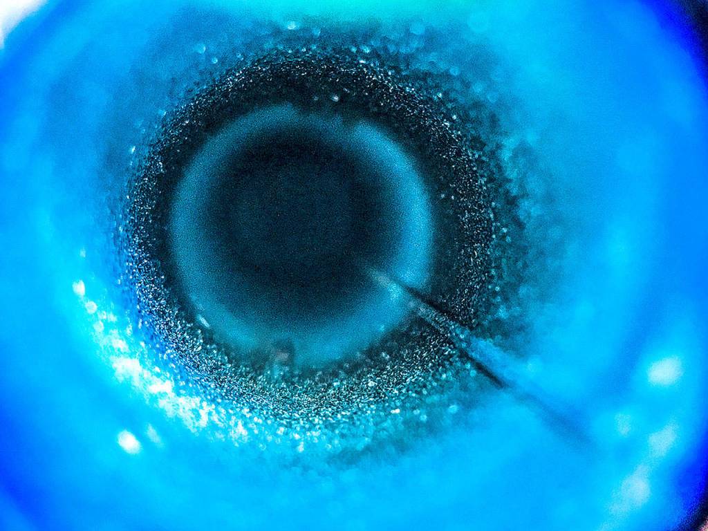 Johnny Pownall III - Camera Phone select