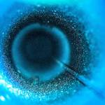 Mount Si students have outstanding showing at state photography contest