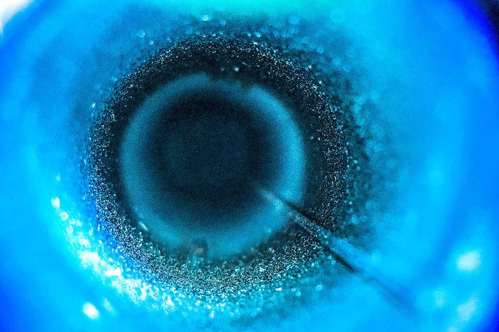 Mount Si students have outstanding showing at state photography contest