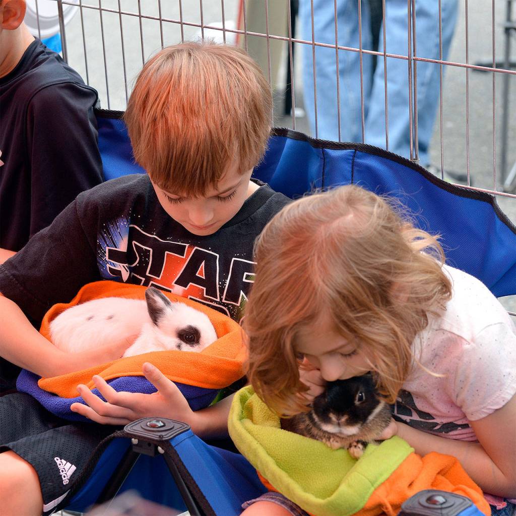Children enjoy some quiet time cuddling with bunnies at the petting zoo.                                (Photo by Mary Miller)
