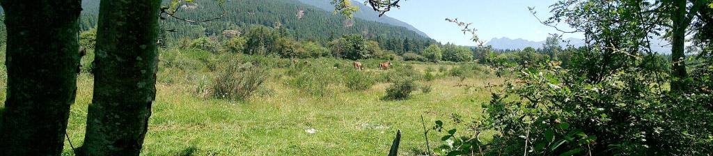 Preservation group seeks to stop Dahlgren development, purchase ‘mule pasture’ land for park