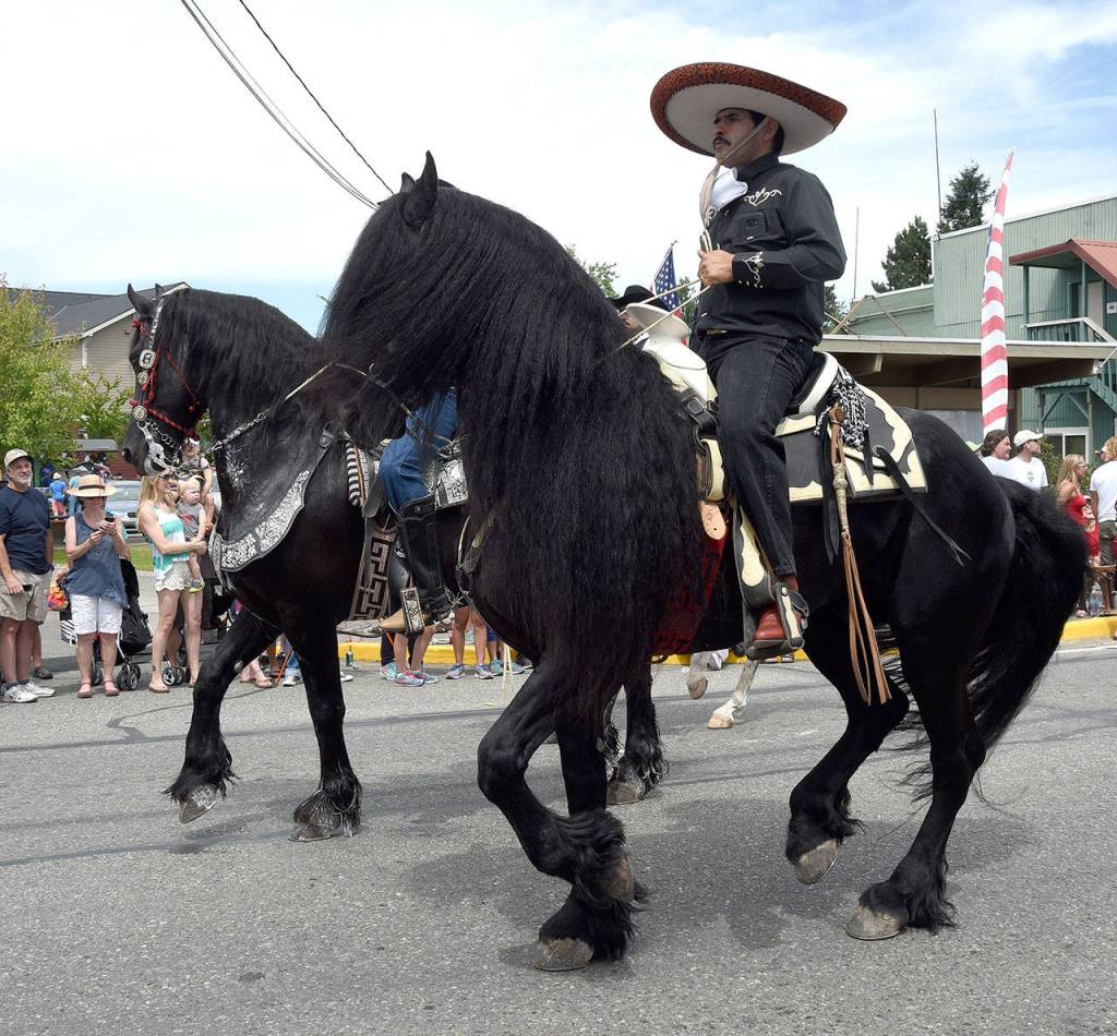 Beautiful black horses are part of the Ixtapa entry in the Grand Parade. (Carol Ladwig Staff Photo)