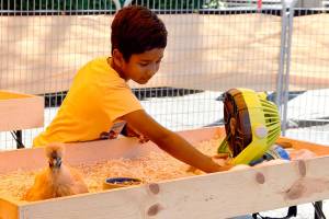 North Bend Block Party and car show bring festivities to North Bend