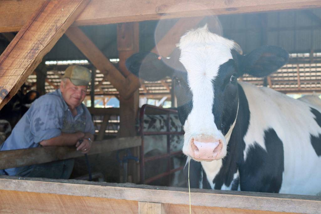 Cora takes an interest in the sound of the camera taking pictures. (Evan Pappas/Staff Photo)