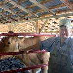 Magnochi inside his barn in Carnation. (Evan Pappas/Staff Photo)
