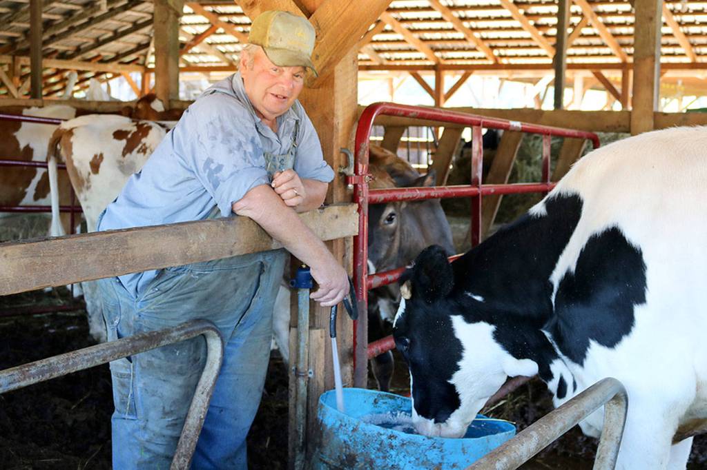 Dairy farmer George Magnochi chosen 2017 Grand Marshal for the Great Carnation Fourth of July Celebration