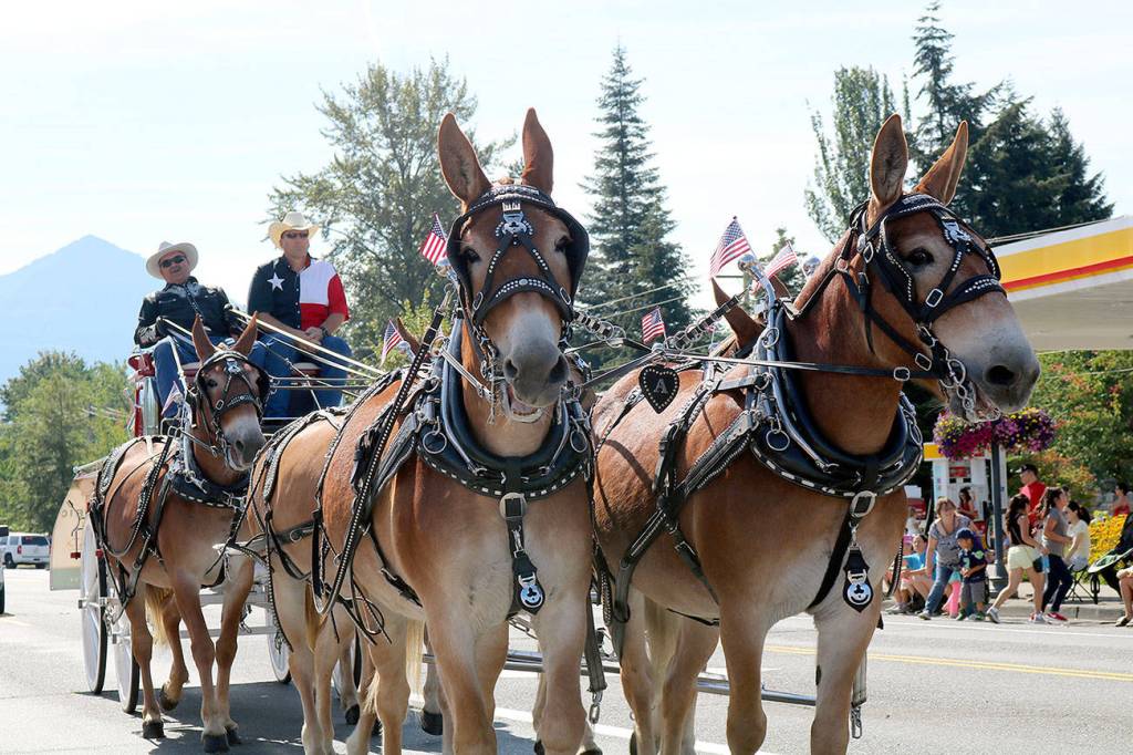 Getting creative: Festival at Mount Si expands on attractions for all ages this weekend