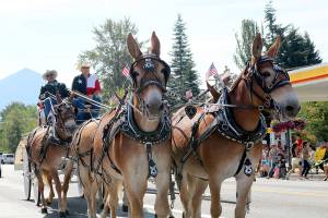 Getting creative: Festival at Mount Si expands on attractions for all ages this weekend
