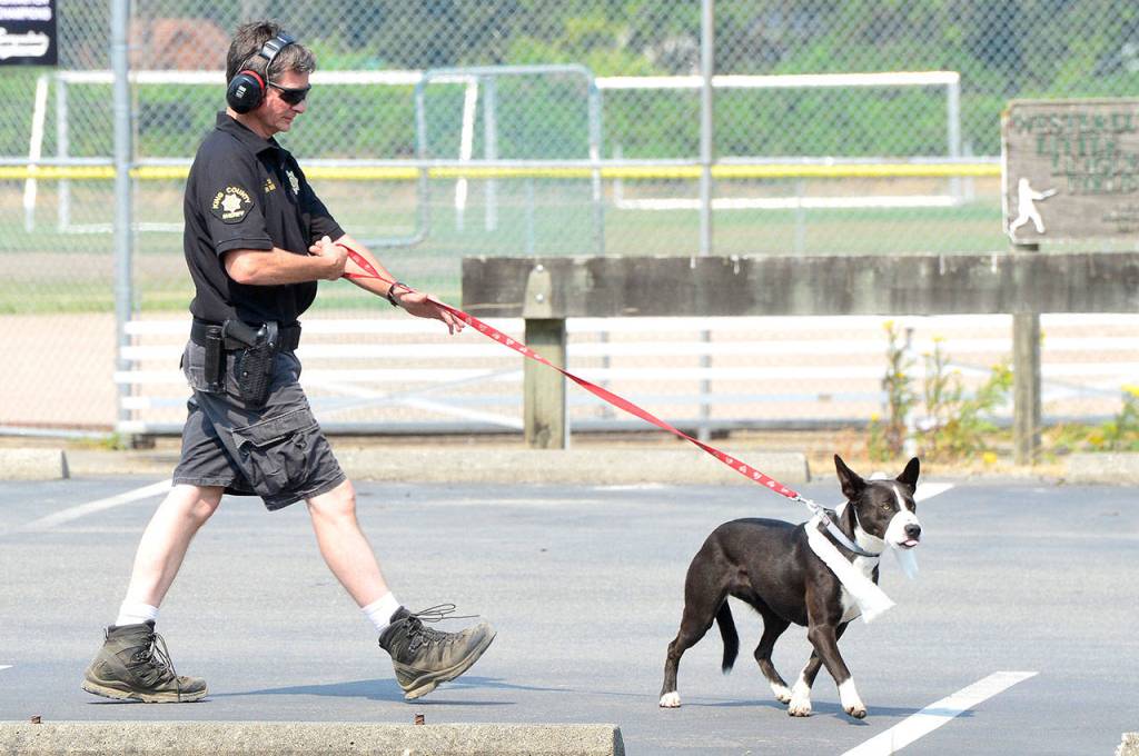 A rescuer walks Rainey, Haines dog, from the helicopter to waiting family members.                                Photo courtesy of Mary Miller