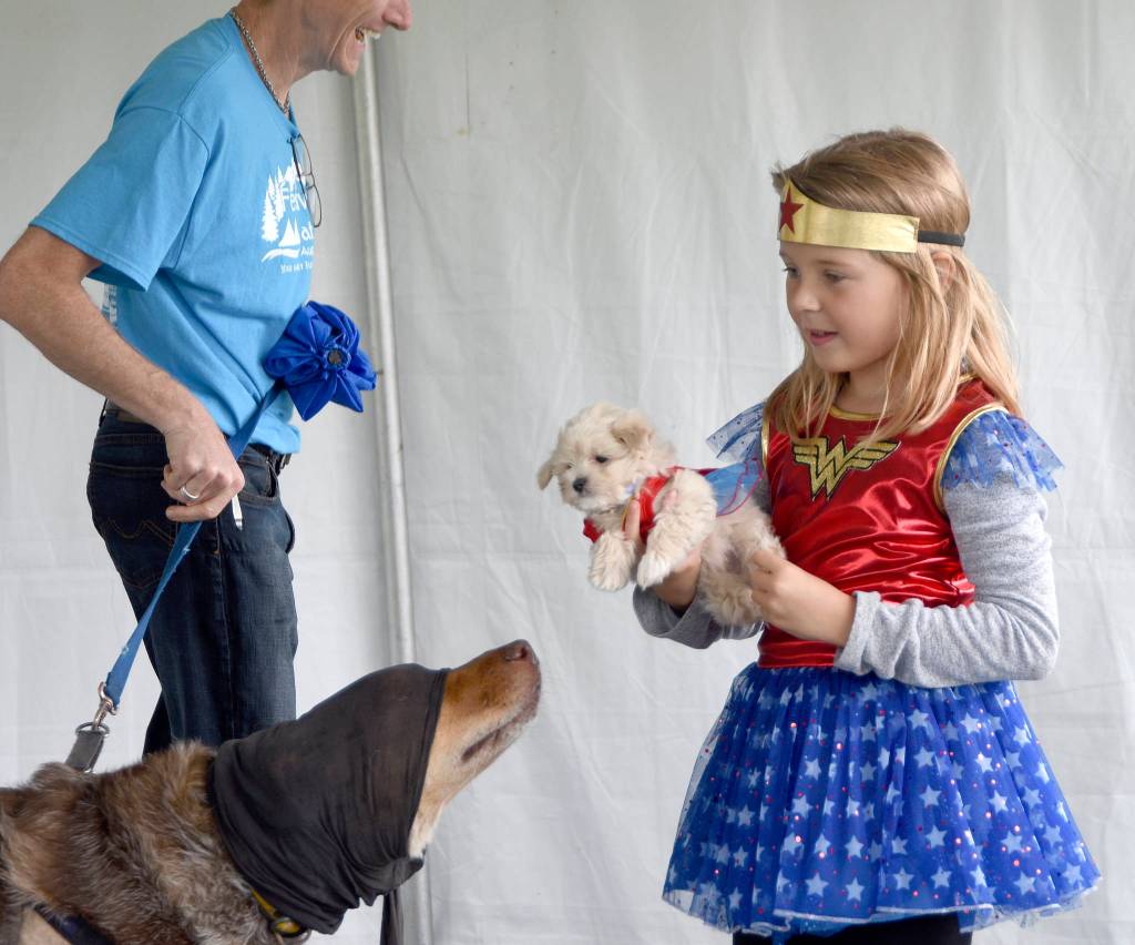 Cassidy Church and her Wonder Dog Molly, receive a curious sniff from another contestant in the pet costume contest, Apollo. (Carol Ladwig/Staff Photo)