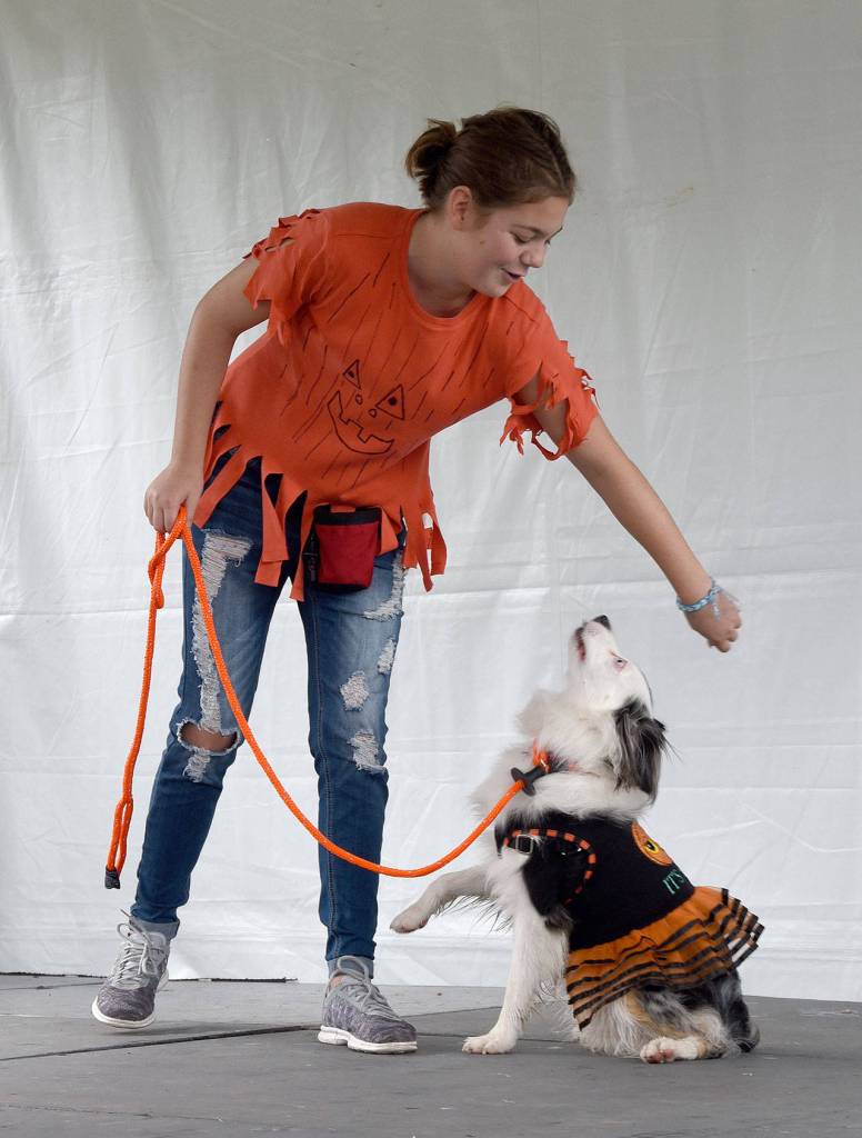 Jessica Good commands her dog Patches in the Amazing Pet Contest Sunday. The pair came away with the second-place prize for Best Trick.                                (Carol Ladwig/Staff Photo)