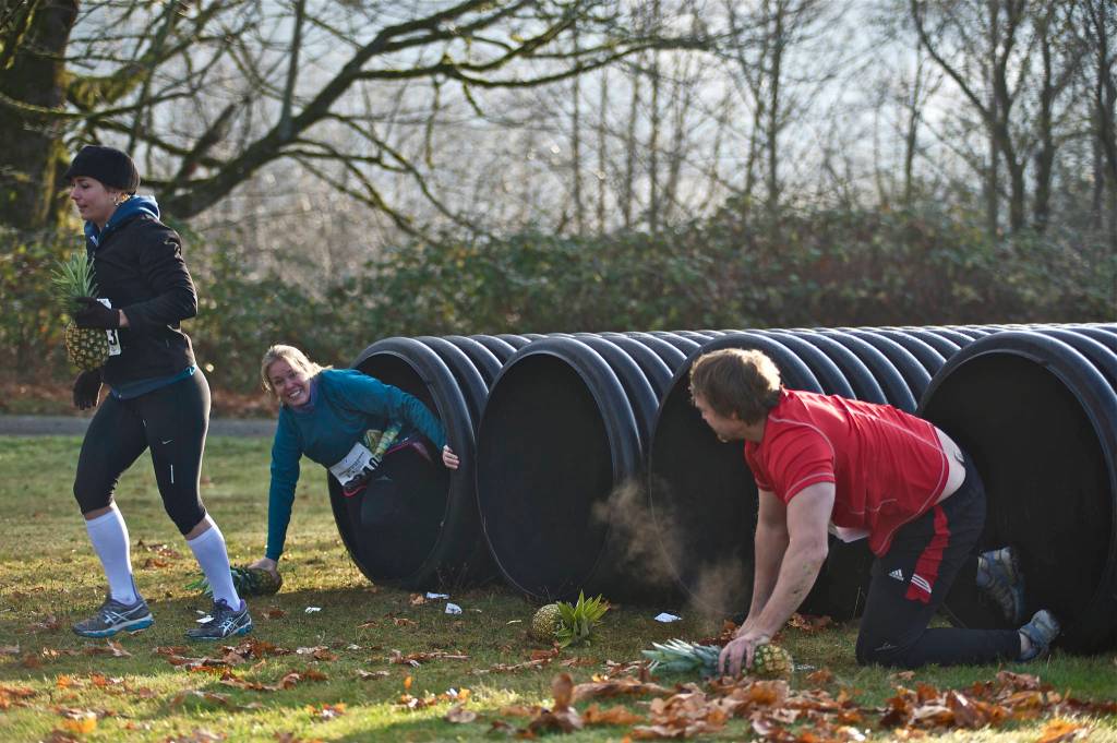 Pineapple-clutching racers struggle through tunnels in the Hawaiian-themed Winter Pineapple Classic, a five-kilometer fun run benefiting the Leukemia & Lymphoma Society, held at Mount Meadows Farm in 2014.                                (File Photo)
