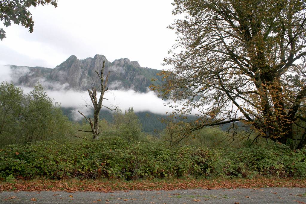 Mountain Meadows Farm, with its amazing views, is the proposed site for a future branch campus of Washington Technology University. A public meeting about the proposal is set for 6:30 p.m. Thursday, Aug. 31, at Mountain Meadows Farm.                                (File Photo)