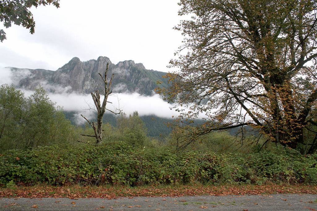 Branch college campus proposed for Mountain Meadows Farm; Public meeting on proposal is Aug. 31