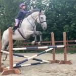 Snoqualmie student works as a national youth ambassador for thoroughbred rehab