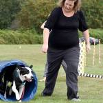 Kristina Spencer of Issaquah and her dog Evee do the agility course sponsored by Riverdog. (Carol Ladwig/Staff Photo)