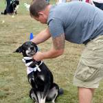Aaron Cowling of North Bend, dresses his dog, Toby, in the Dress for Success contest. They took second place for taking the least time to get dressed and crossing the finish line with the most articles of clothing still on Toby.(Carol Ladwig/Staff Photo)