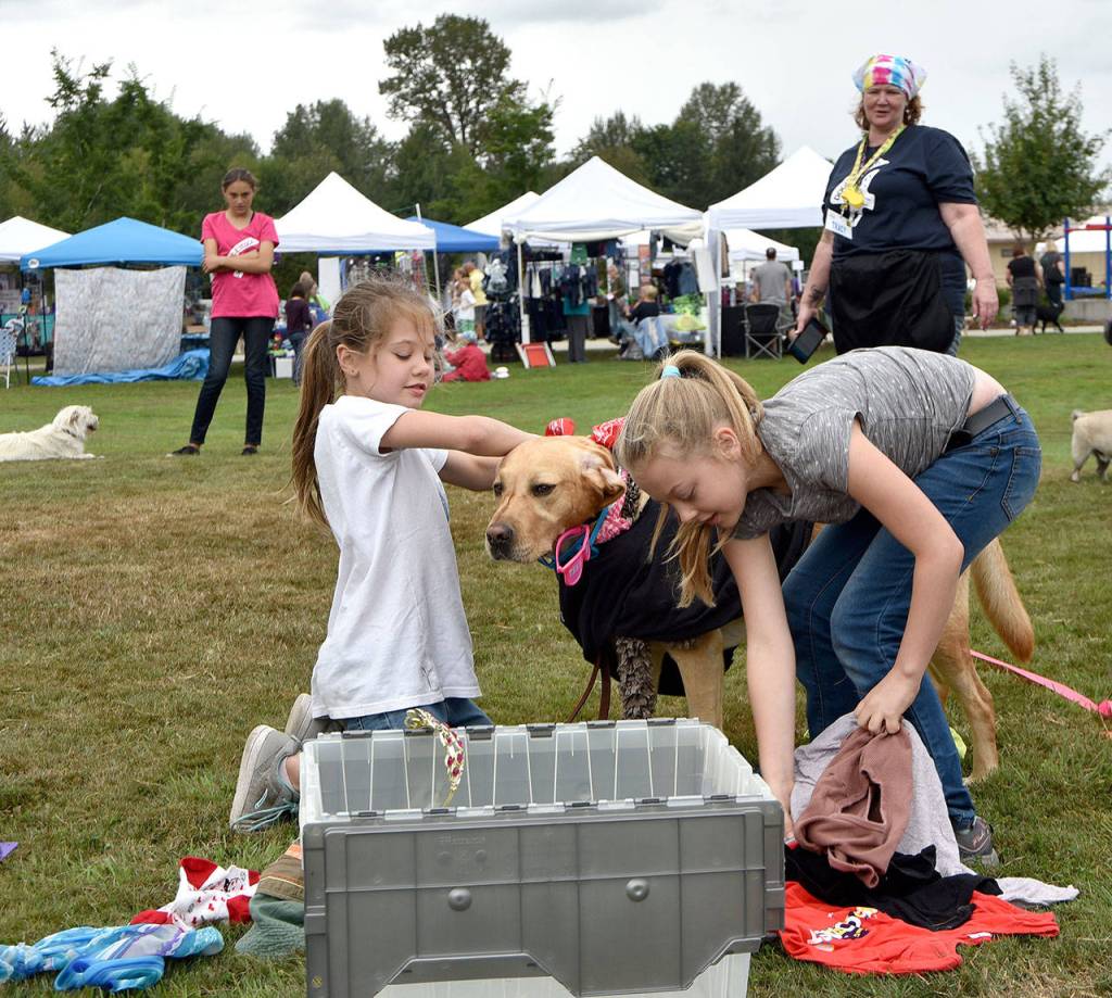 Madison, left, and Mckenzie Brown of Snoqualmie join forces to get as many articles of clothing on their dog, Bo, as possible, Saturday. (Carol Ladwig/Staff Photo)