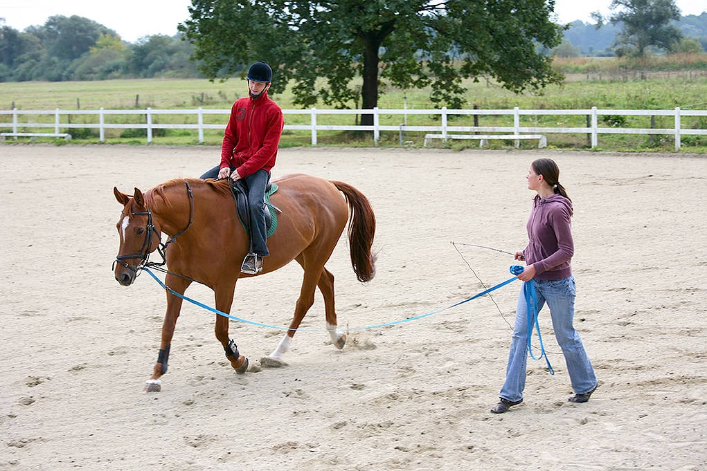 &mdash; The Snoqualmie Valley Riding club gave lessons and trained horses on their site for 70 years before closing their doors. (Courtesy Photo)