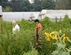 Friends Gaylin Luce and Vivian Hauer walk along the rows of crops at Jubilee Farm during Saturday&rsquo;s festivities. (Carol Ladwig/Staff Photo)