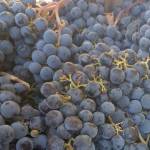 Column: Pricing wine is like pricing a work of art
