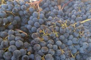 Column: Pricing wine is like pricing a work of art