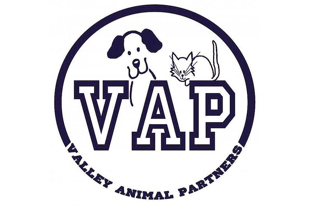 Valley Animal Partners host annual chili showdown Nov. 4