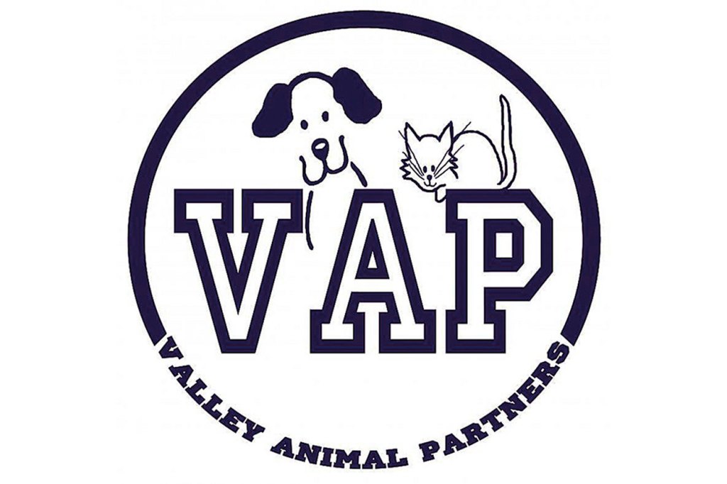 Valley Animal Partners host annual chili showdown Nov. 4