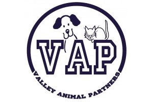 Valley Animal Partners host annual chili showdown Nov. 4