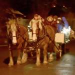 Belgian horses pulled wagonloads of holiday revelers Saturday during Snoqualmies annual holiday festival. (Carol Ladwig/Staff Photo)